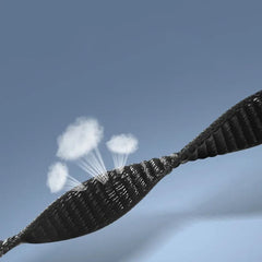 NYLONSKA TRAKA ZA XIAOMI MI BAND 8 / 9 / NFC HEYBAND NYLON CRNA