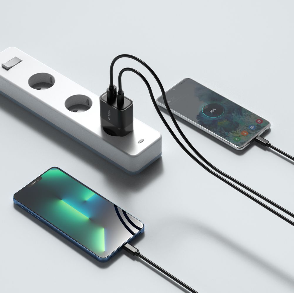 MREŽNI PUNJAČ ZA MOBILNE TELEFONE I TABLETE TECH-PROTECT C30W 2-PORT MREŽNI PUNJAČ PD30W/QC3.0 CRNI
